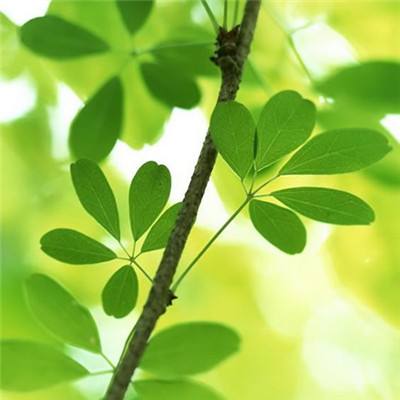 手游刺客天下官方最新版下载